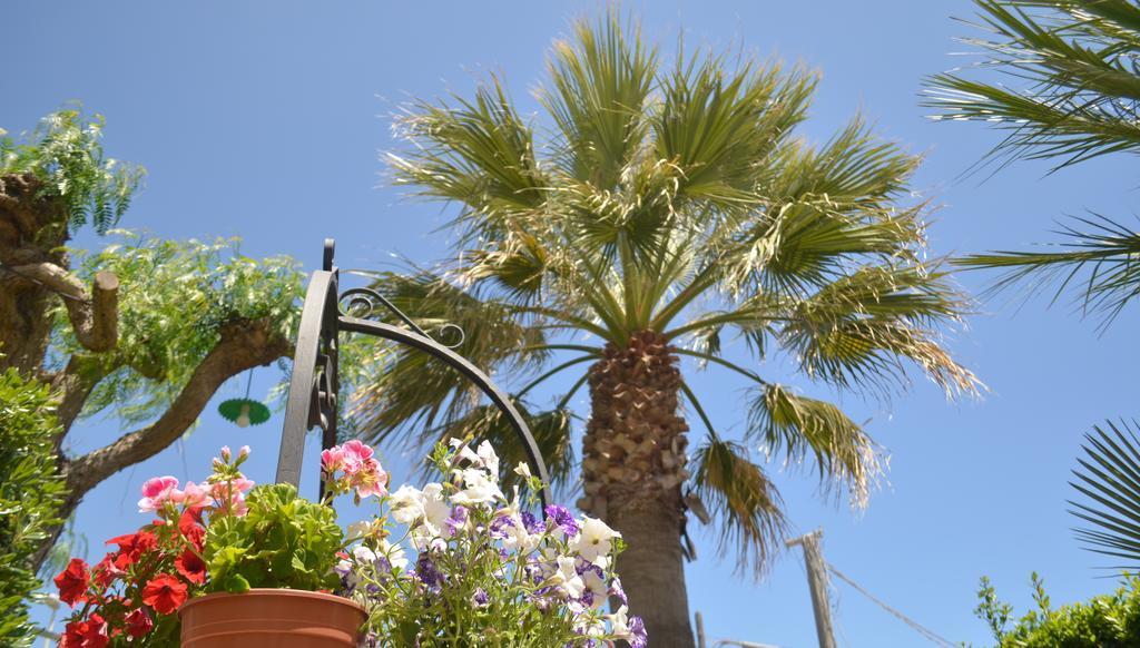 Ansise Guest House Lido di Noto Exterior photo